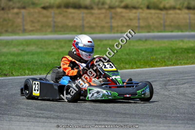DSC_ (1486).jpg
